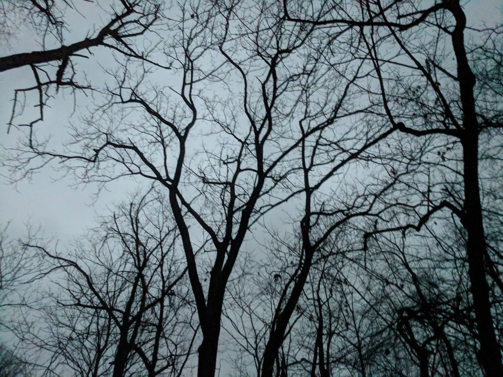 Picture I took on a hike